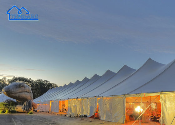 Kopen Achtertuin Verzamelen Evenement Marquee Tent Versterkte Legering Witte Elegante Luifelstructuur online vervaardiging